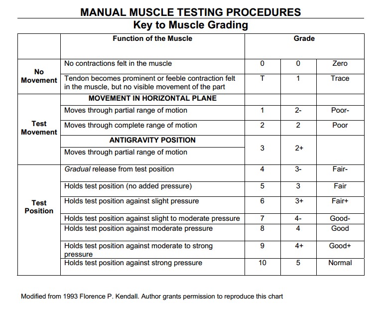 Muscle Strength Testing And Manual Muscle Grades 